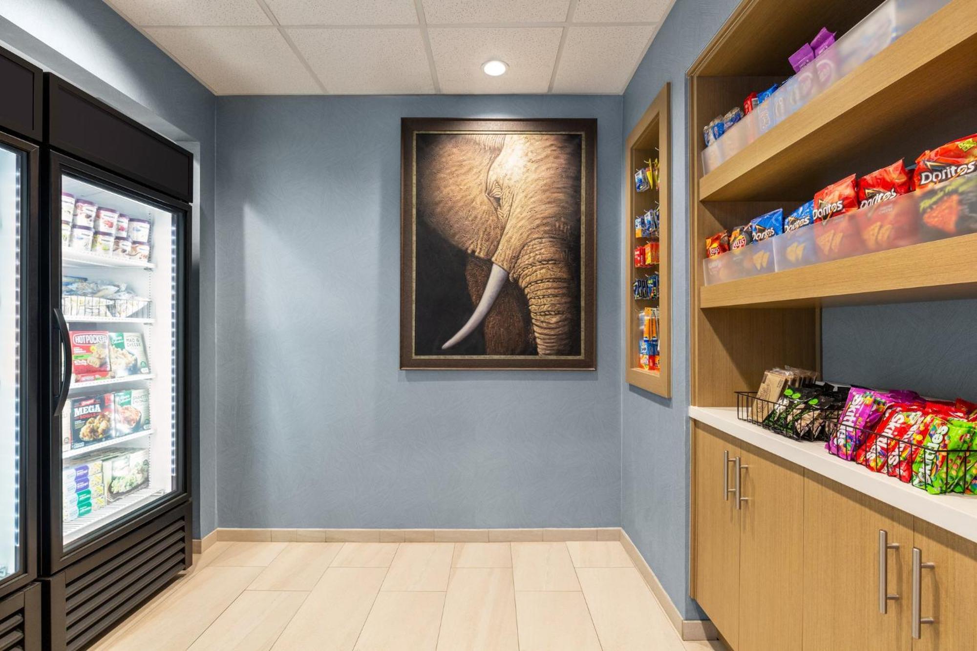 Holiday Inn Express & Suites - Tuscaloosa-University By Ihg Bagian luar foto